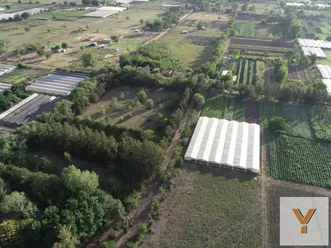 Terreno en venta - 700Mts2 - Las Casuarinas, Abasto, La Plata