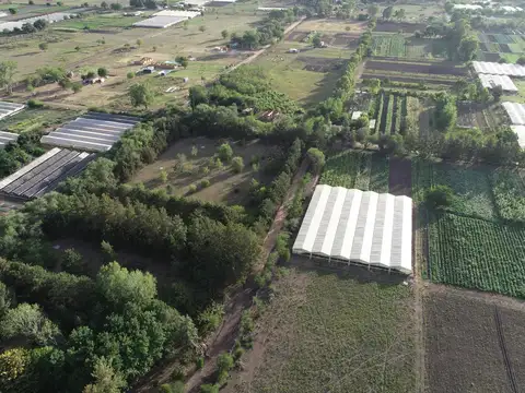 Terreno en venta - 700Mts2 - Las Casuarinas, Abasto, La Plata