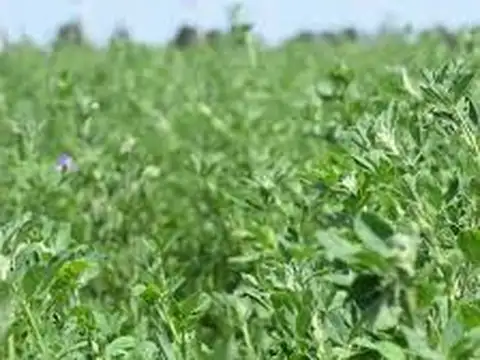 Campo en Venta de 5.500  ha