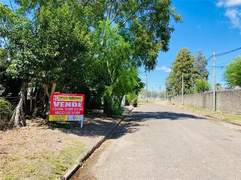 Superficie y Tranquilidad