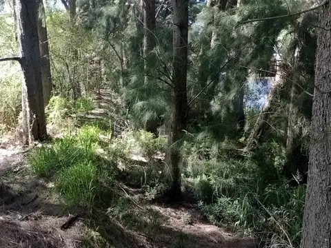 Terreno en Venta en Caraguata, USD 75.000