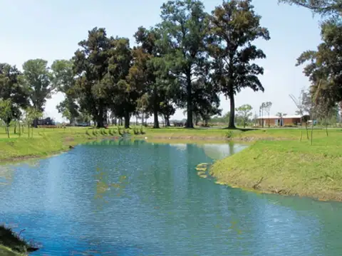 VENTA LOTE 800 MTS SAN LUCAS CANNING FINANCIA 