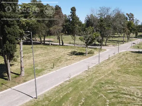 Terreno en Venta en Centro Agricola el Pato, Partido de Berazategui