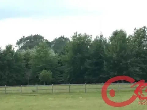 Terreno en Venta 50  mts Frente