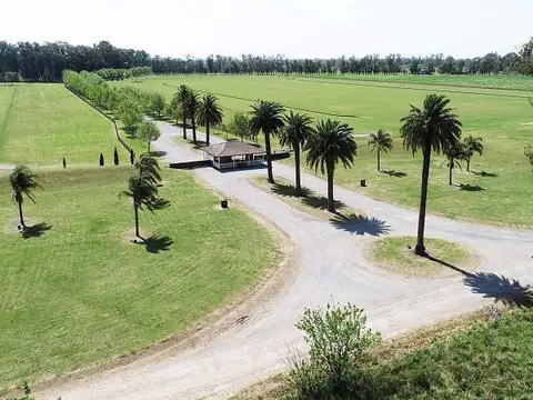 sssssssssssssssssssssssssssss