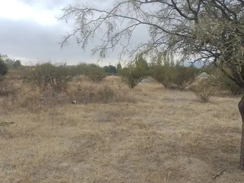 Terreno en Venta en Cafayate, USD 30.000