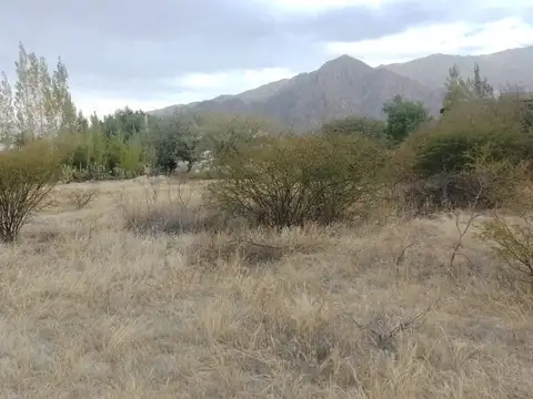 TERRENO ESQUINA VENTA CAFAYATE VERTIENTES