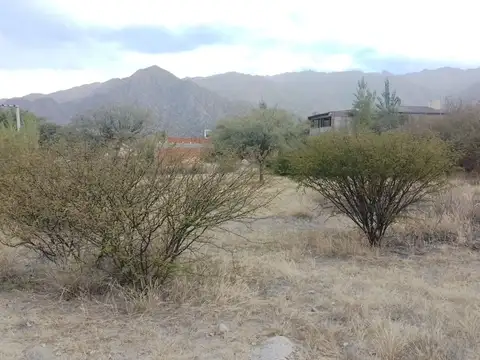 Cafayate. Vertientes Club de Campo. Lote 100