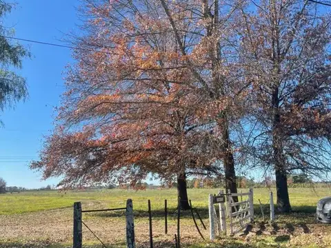 Terreno en Venta en Pilar, USD 5.000