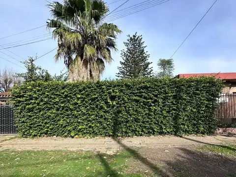 Venta De Lote Baldio En La Mejor Zona De Padua