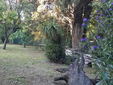 Casa Quinta 5 Amb c/ Pileta y Amplios Quinchos - Ideal Eventos - Hogar de Abuelos - San Justo