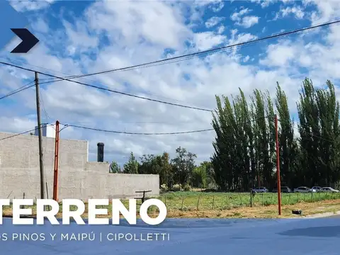 Terreno en Venta en Cipolletti, General Roca