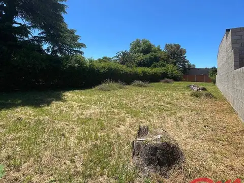 Terreno en Venta 13  mts Fondo