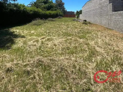 Terreno en Venta 55  mts Frente