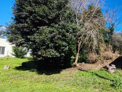 Terreno en Venta de 424,83 m2