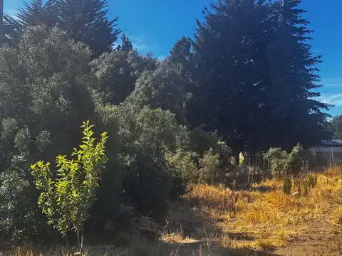 Del rayo 1300, Piso UF3