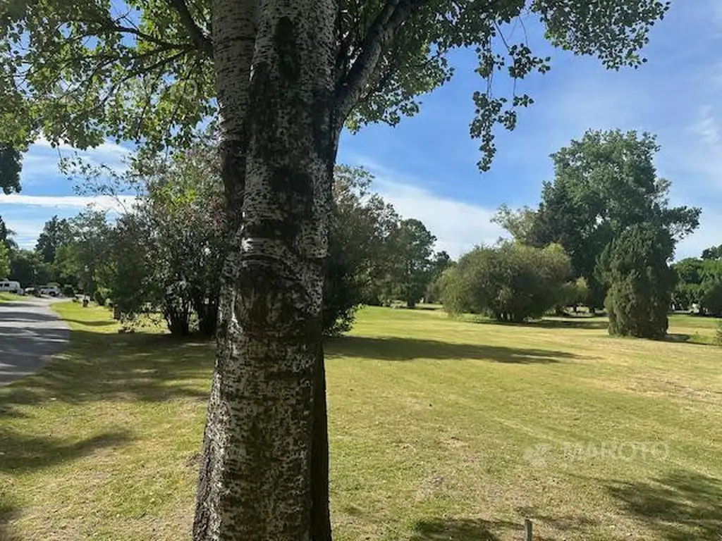 Casa en Alquiler con cochera