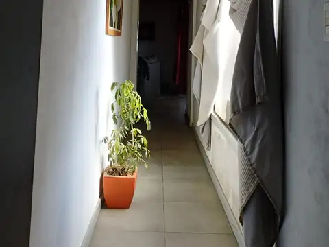 Zorro entre Mara y Zorzal 100