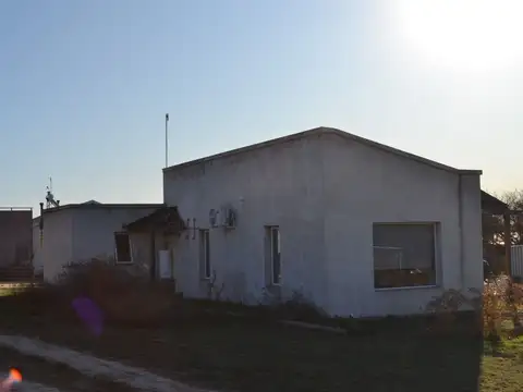 Zorro entre Mara y Zorzal 100