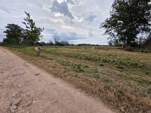 Terreno en Venta en Concepcion del Uruguay, Uruguay