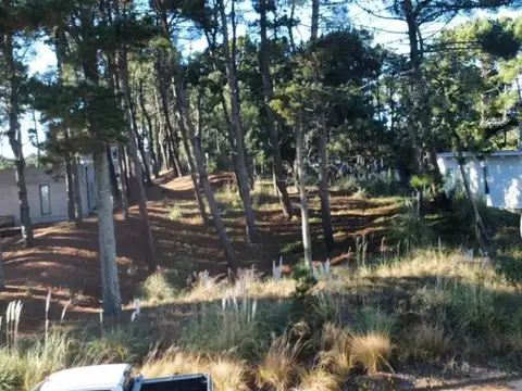 Terreno en Venta de 1037,0 m2