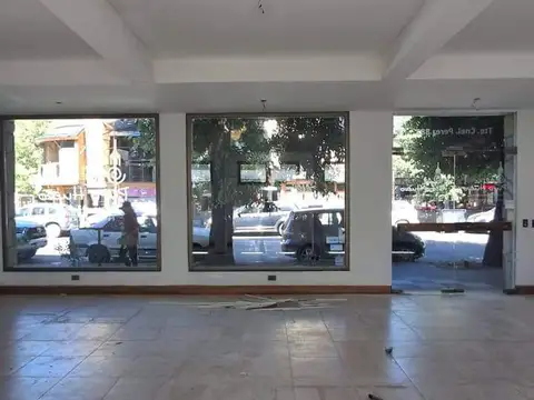 Tte. Coronel Pérez y Villegas 100