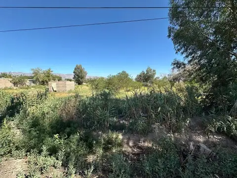 Terreno en Venta en Pocito, USD 70.000