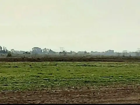 Terreno en Venta de 300,0 m2