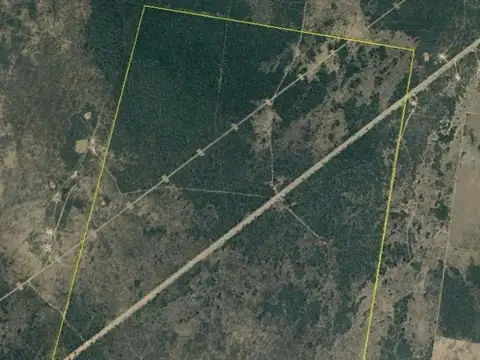 Venta Campo Ganadero - Santiago del Estero