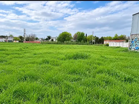 Alquiler Lotes comerciales en Berazategui