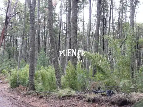 Faldeo del Bayo - Lote con bosque y arroyo ideal Turistico & Residencial