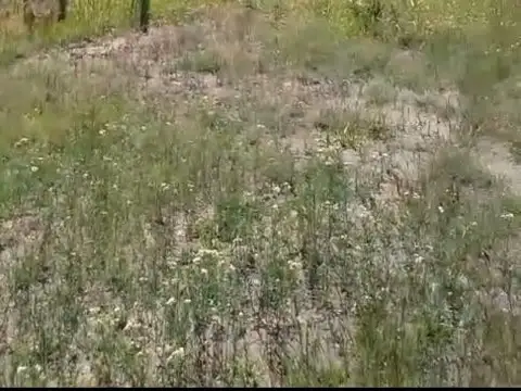 Terreno en Venta en Zona Dique Piscu Yaco, USD 16.000