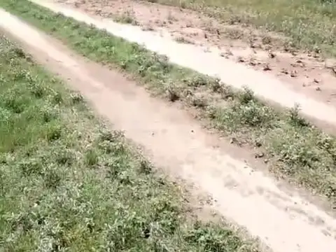 Ruta 1