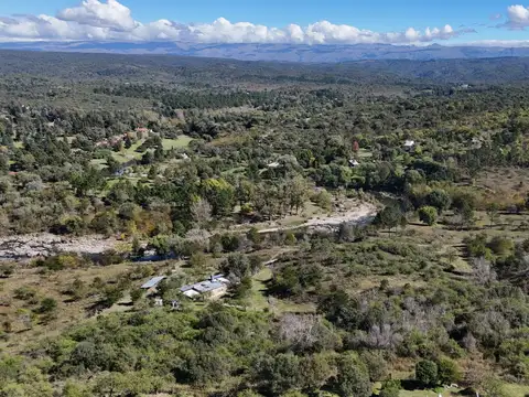 Ruta 228 100