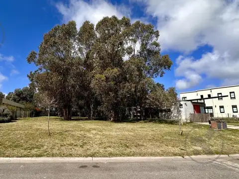 Terreno en Venta 22  mts Fondo