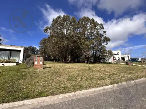 arenas del sur Terreno