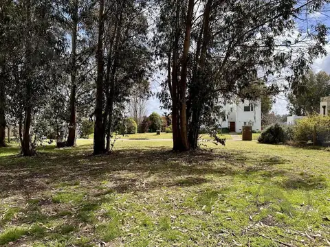 arenas del sur lote