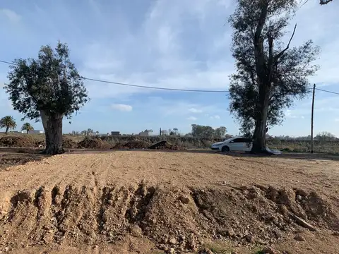 Terreno en Venta 30  mts Fondo