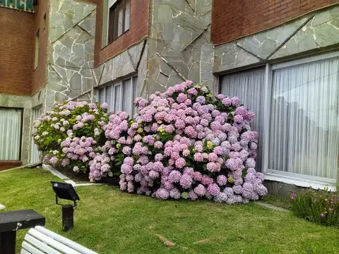 Av. 1 e/ Paseo 141 y 142