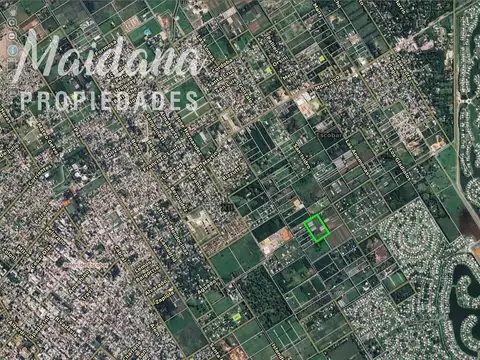 Argentina Harrands