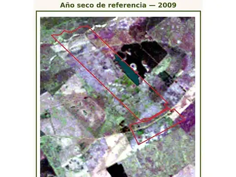 Campo mixto 2 parcelas contiguas de 398 hectáreas en Gral.Alvear