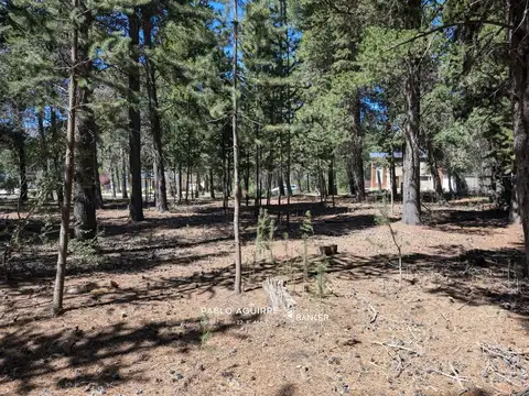 Terreno en Venta de 1005,0 m2