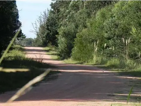 Terreno en  venta Punta del Diablo - Bosque de la Viuda - Financiación
