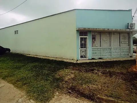 Juan Manuel Blanes 1500