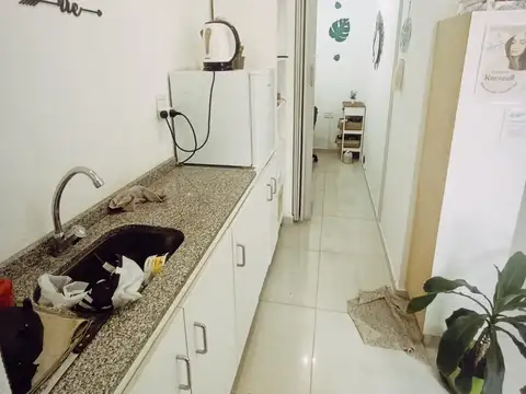 Juan Manuel Blanes 1500