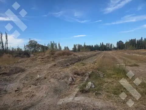 Terreno en Venta 12  mts Fondo