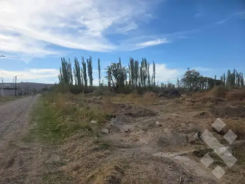 Terreno en Venta en Plottier, USD 10.500