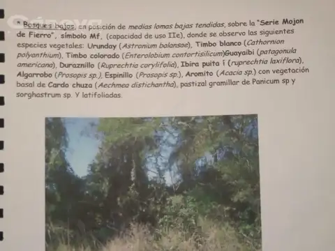 Terreno en Venta en Formosa, USD 805.000