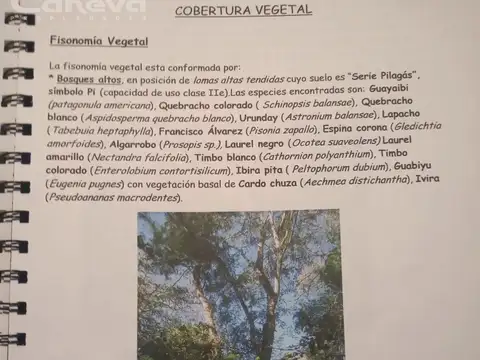 Espectacular campo a 20 km de la ciudad de Formosa