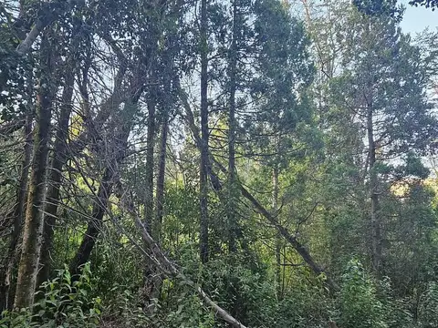 Terreno en Venta en Puerto, USD 175.000